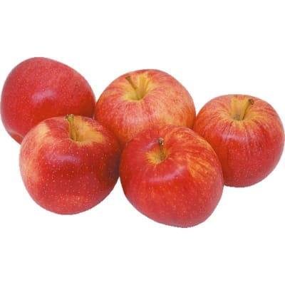 Stemilt World Famous Fruit Organic Fuji Apples Punnet, 4 Count