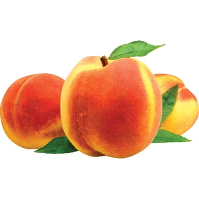 Fresh Nectapie Nectarines - Shop Peaches, Plums & Apricots at H-E-B
