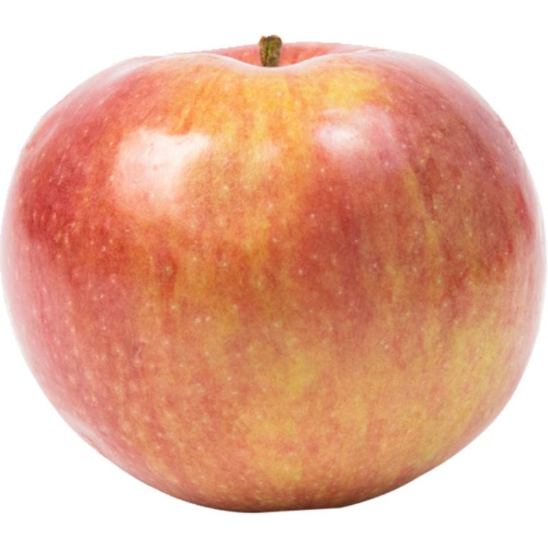 McIntosh Apple – My Favourite Pastime