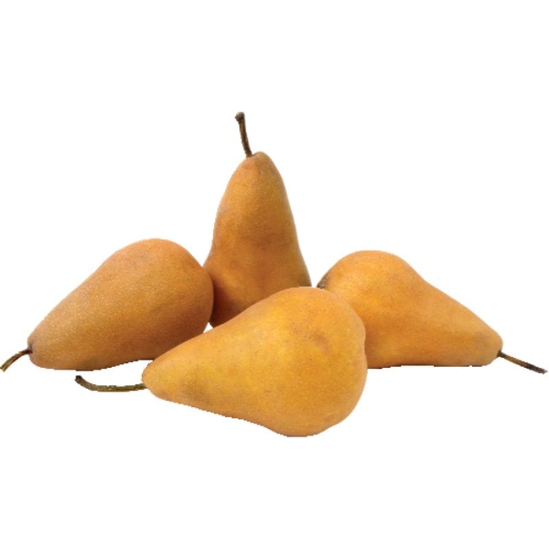 Organic Bosc Pear, 1 ct, 6 oz