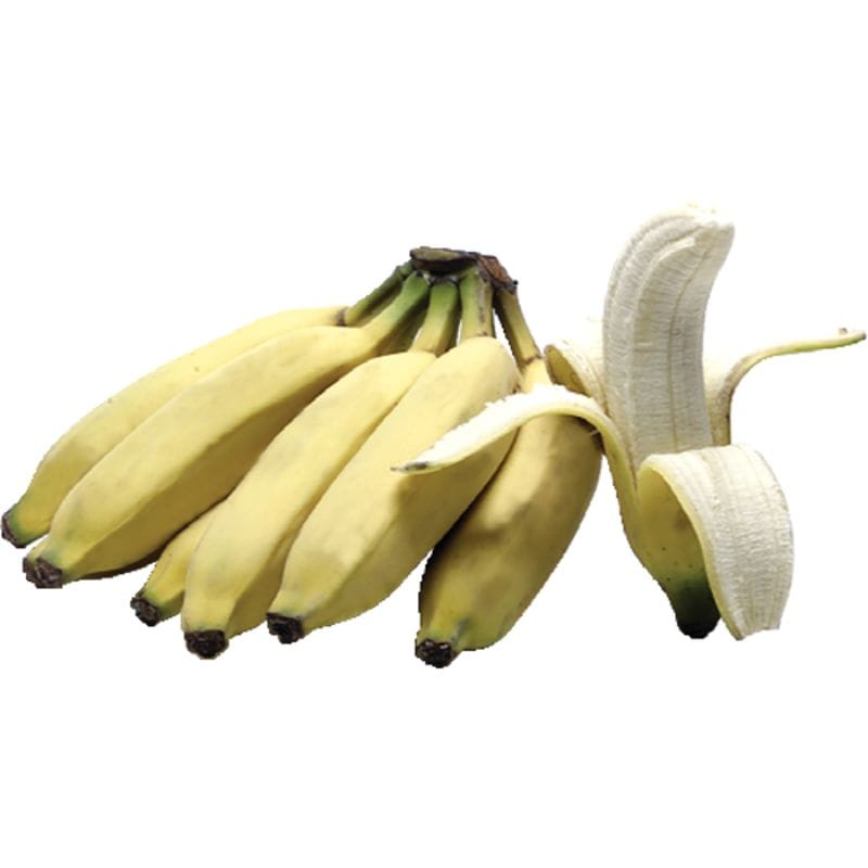 Burro Bananas — Melissas Produce