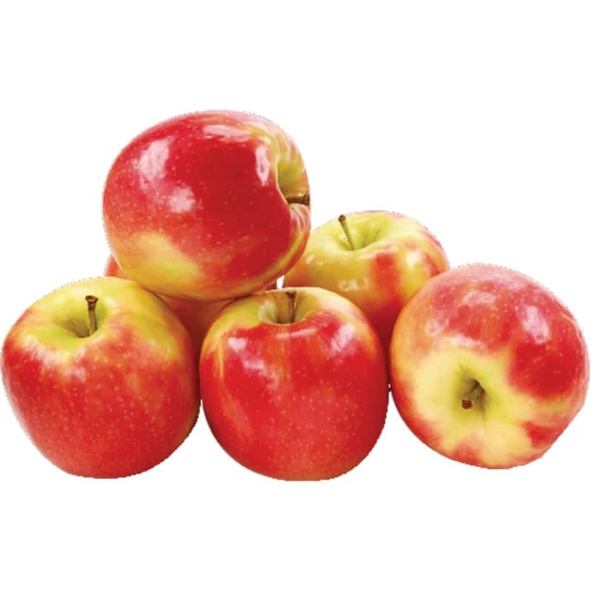 Raw Red Organic Pink Lady Apples Stock Photo - Download Image Now