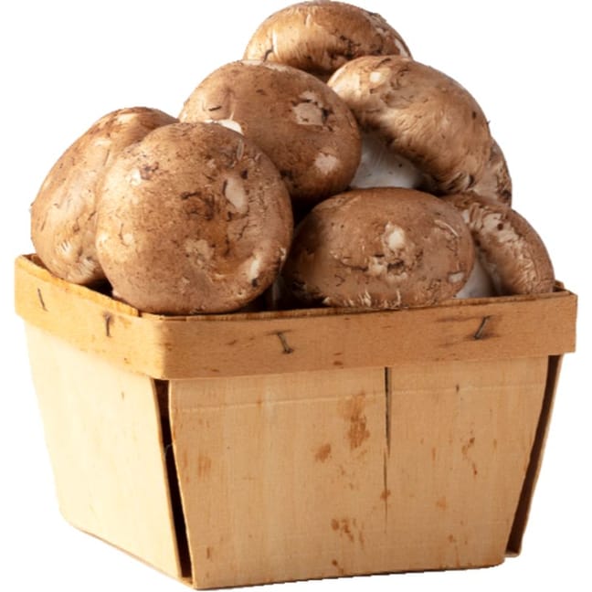 Buy wholesale Baby Gourd - ORGANIC Mushrooms