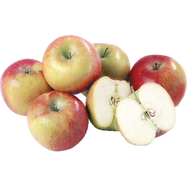 Fresh Organic Fuji Apples 4 Pounds