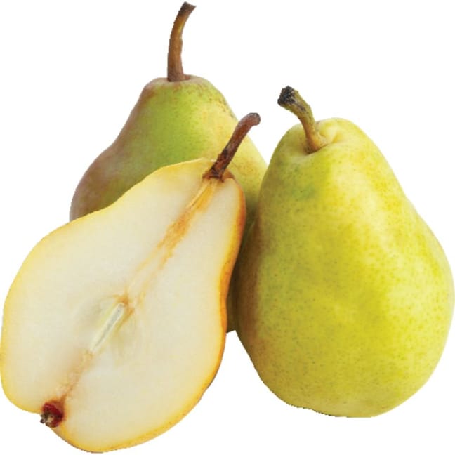 Bartlett Pears - Organic Bartlett Pears - Washington Pear Growers