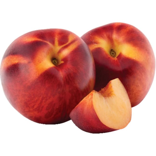 SHOP WHOLESALE NECTARINE