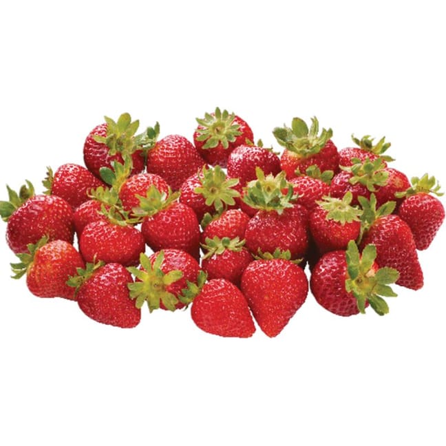 Filled Strawberry Buttons - Bulk Display Tub