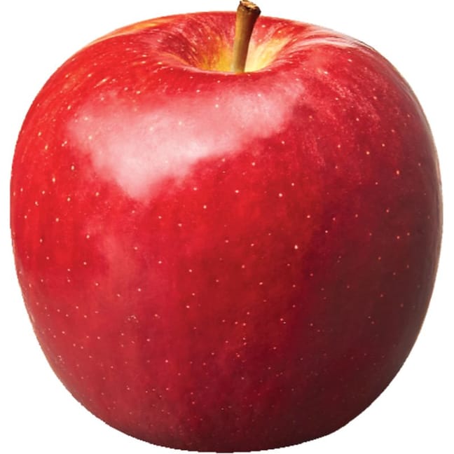 Apples Cosmic Crisp - 1 ea